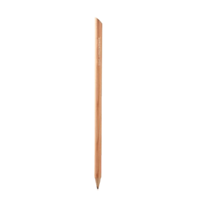 House of Cardoon Magnetic Pencil