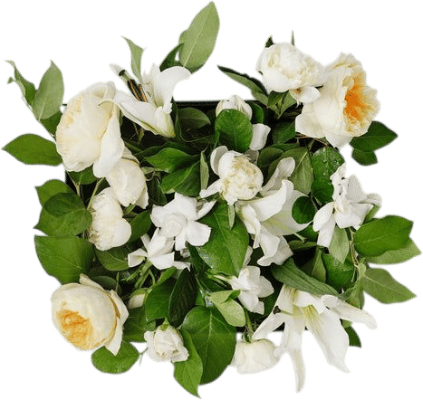 High Camp Supply Fleur du Jour Vine and Bloom Box