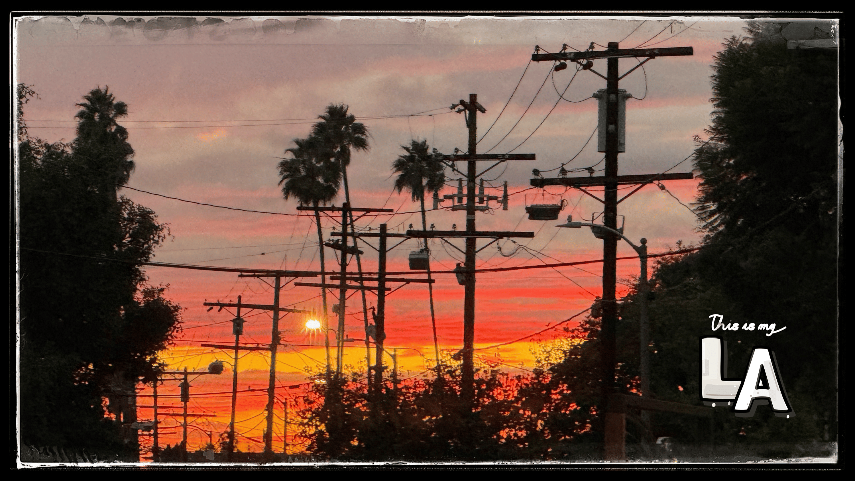 LA Horizon