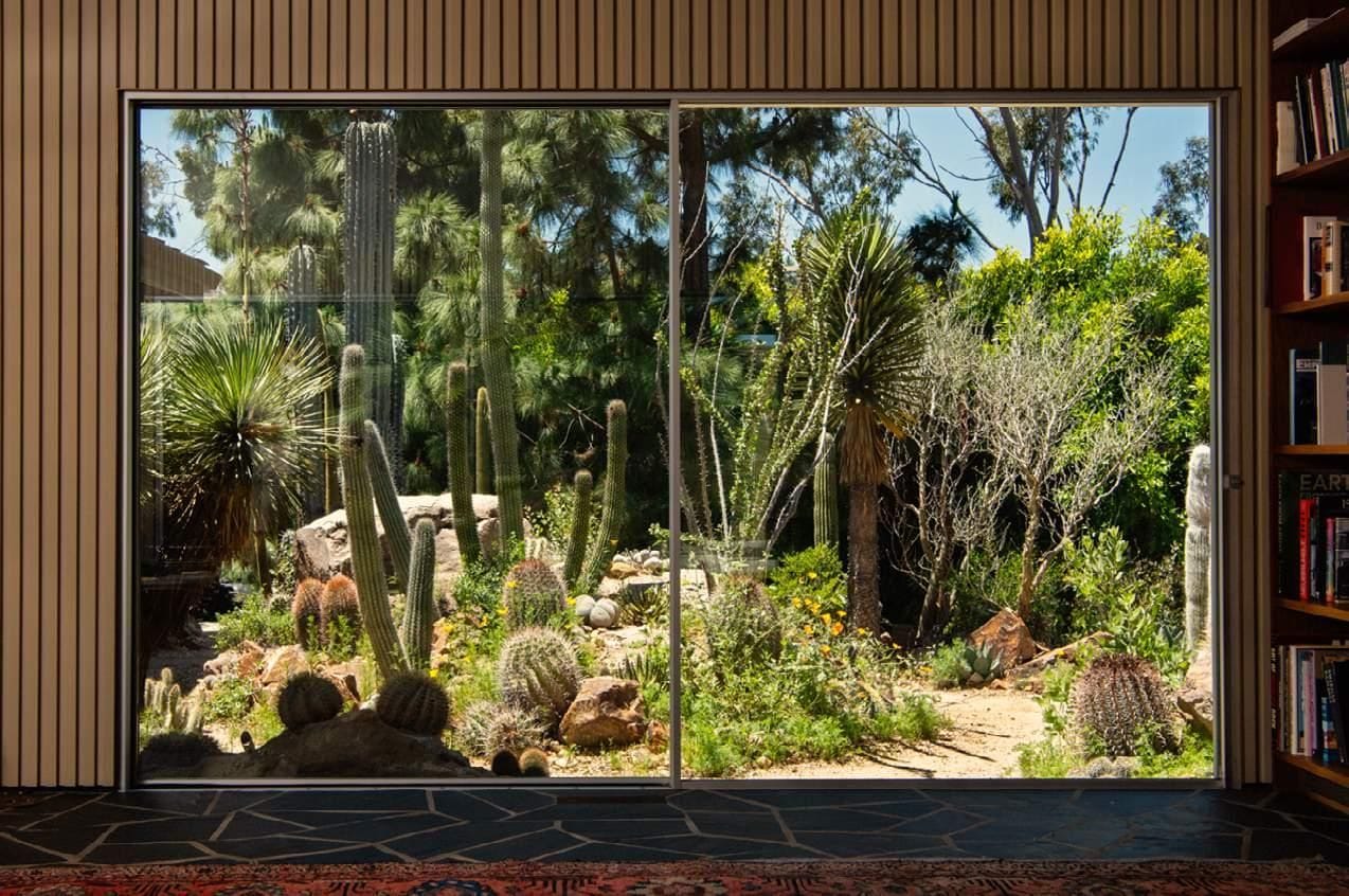 Cactus Store