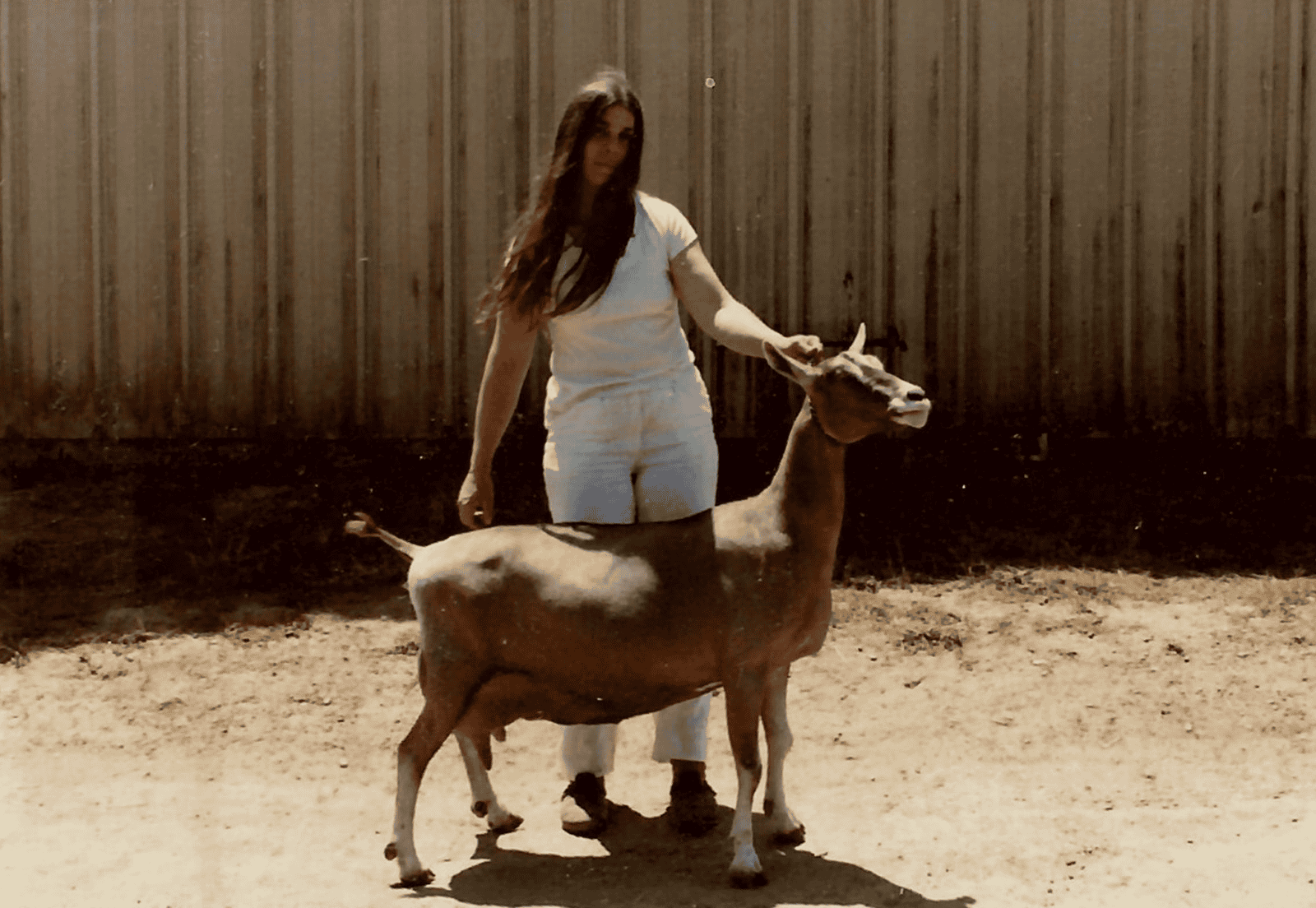 Mary Keehn, creator of Humboldt Fog goat cheese