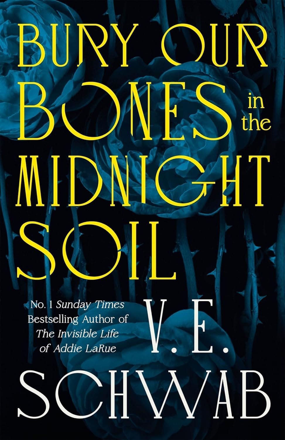 Bury Our Bones in the Midnight Soil by VE Schwab