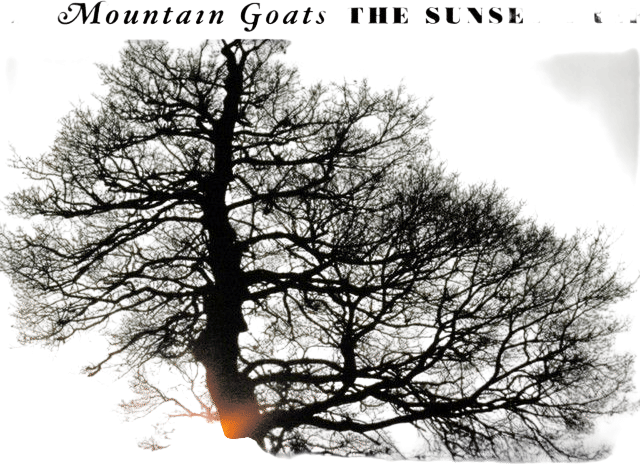 The Sunset Tree