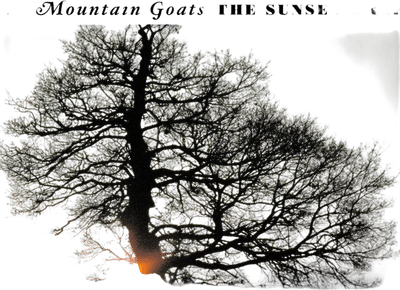 The Sunset Tree