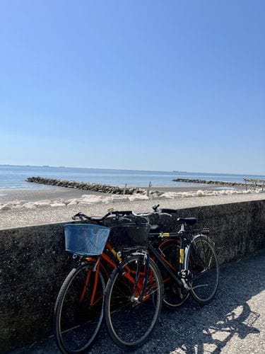Lido di Venezia
