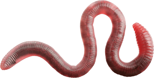Worm castings