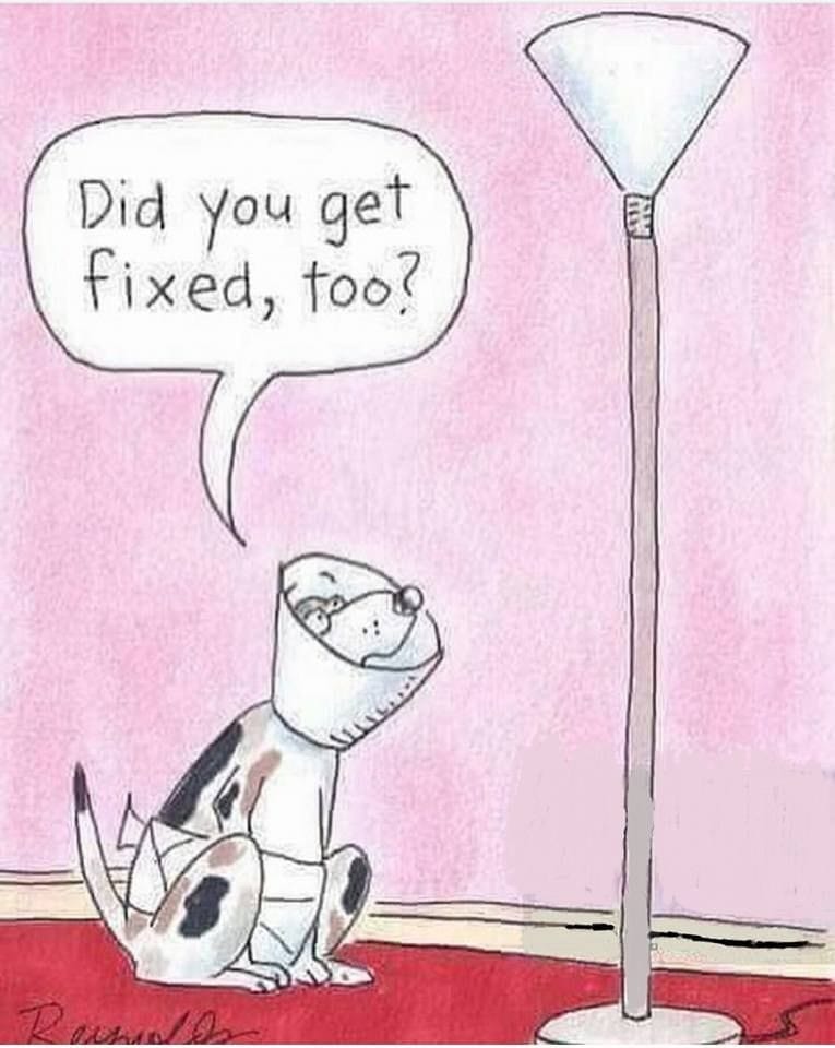 Did You Get Fixed, Too?