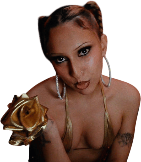 Miss Bashful - Fake Designer Bitch