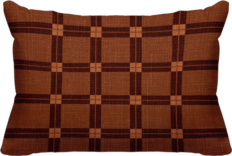 Plaid Indoor/Outdoor Lumbar Throw Pillow