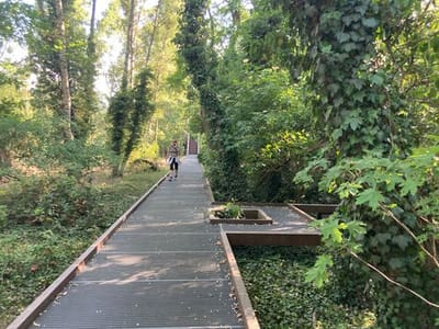 Natur-Park Schöneberger Südgelände