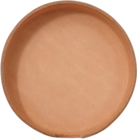 Vachetta Leather Tray