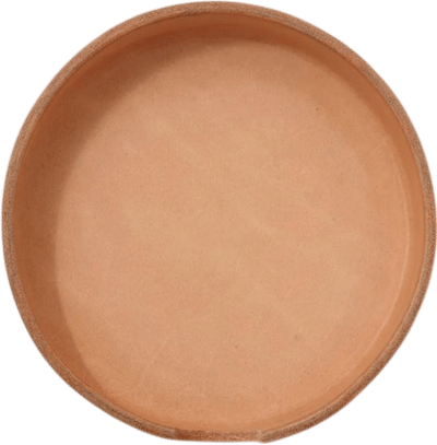 Vachetta Leather Tray