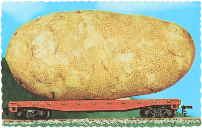 Giant Potato On Rail Car Postcard