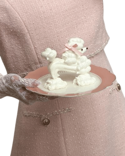 Celineyrs Meringue Poodle