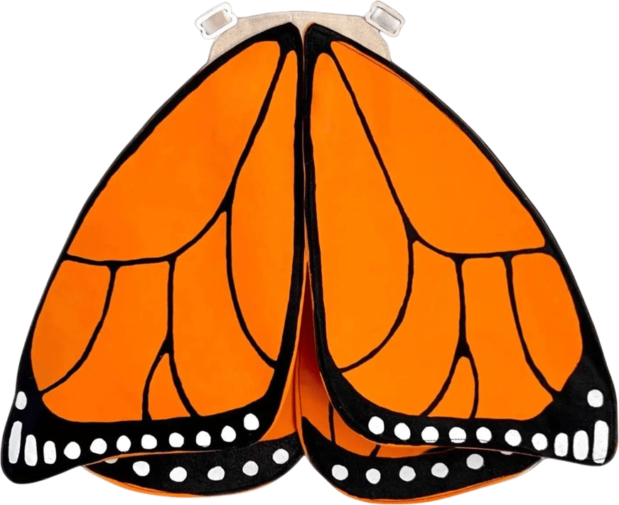 Jack Be Nimble Kids Butterfly Wings