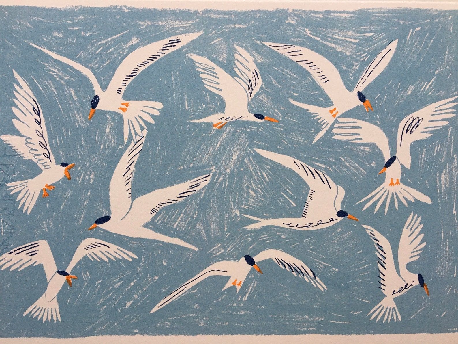 Arctic Terns Screen Print