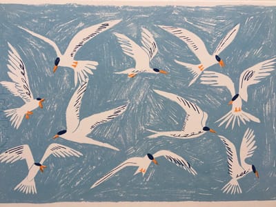 Arctic Terns Screen Print