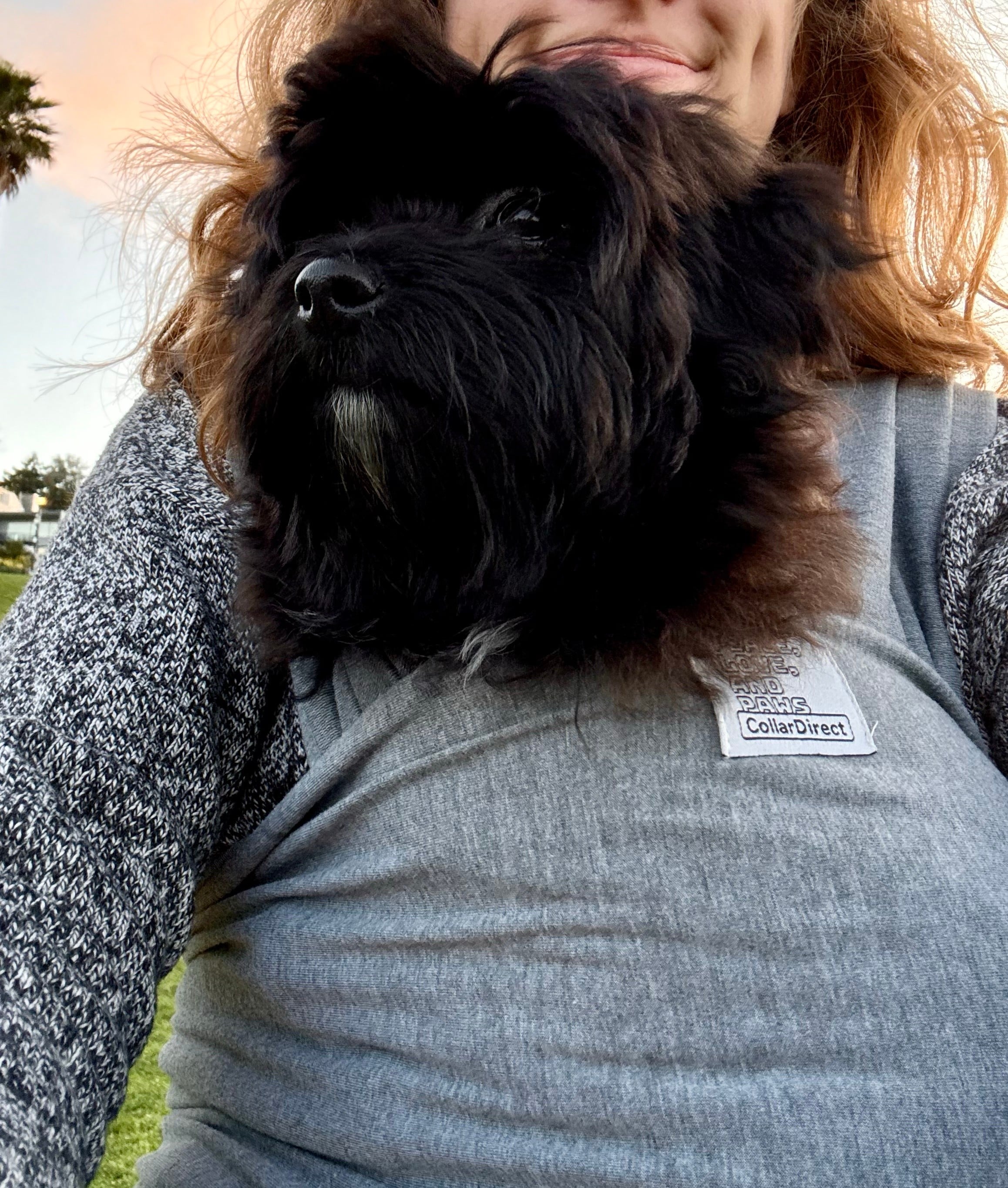 Dog Carrying Wrap