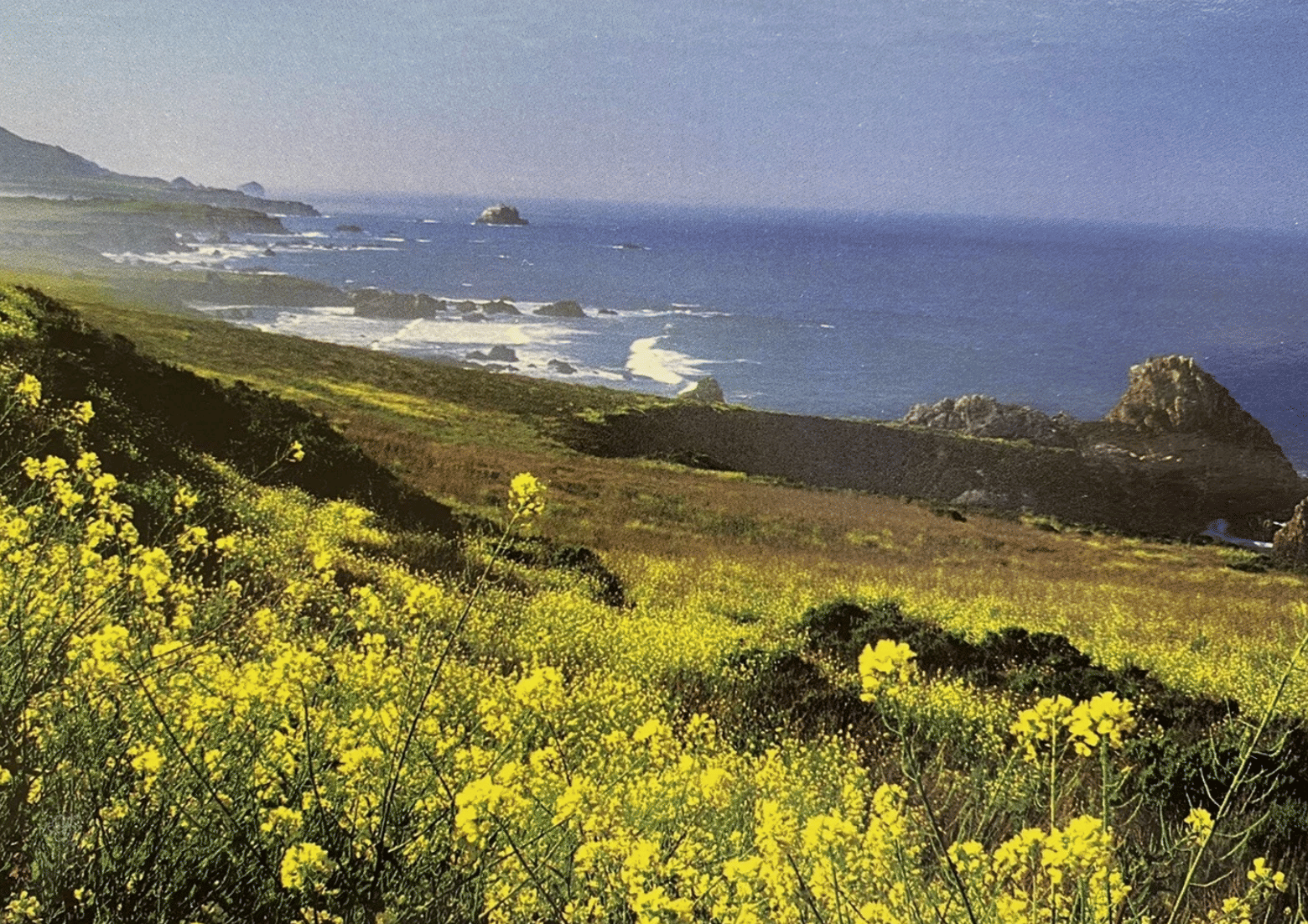 visit – santa cruz ♡ big sur