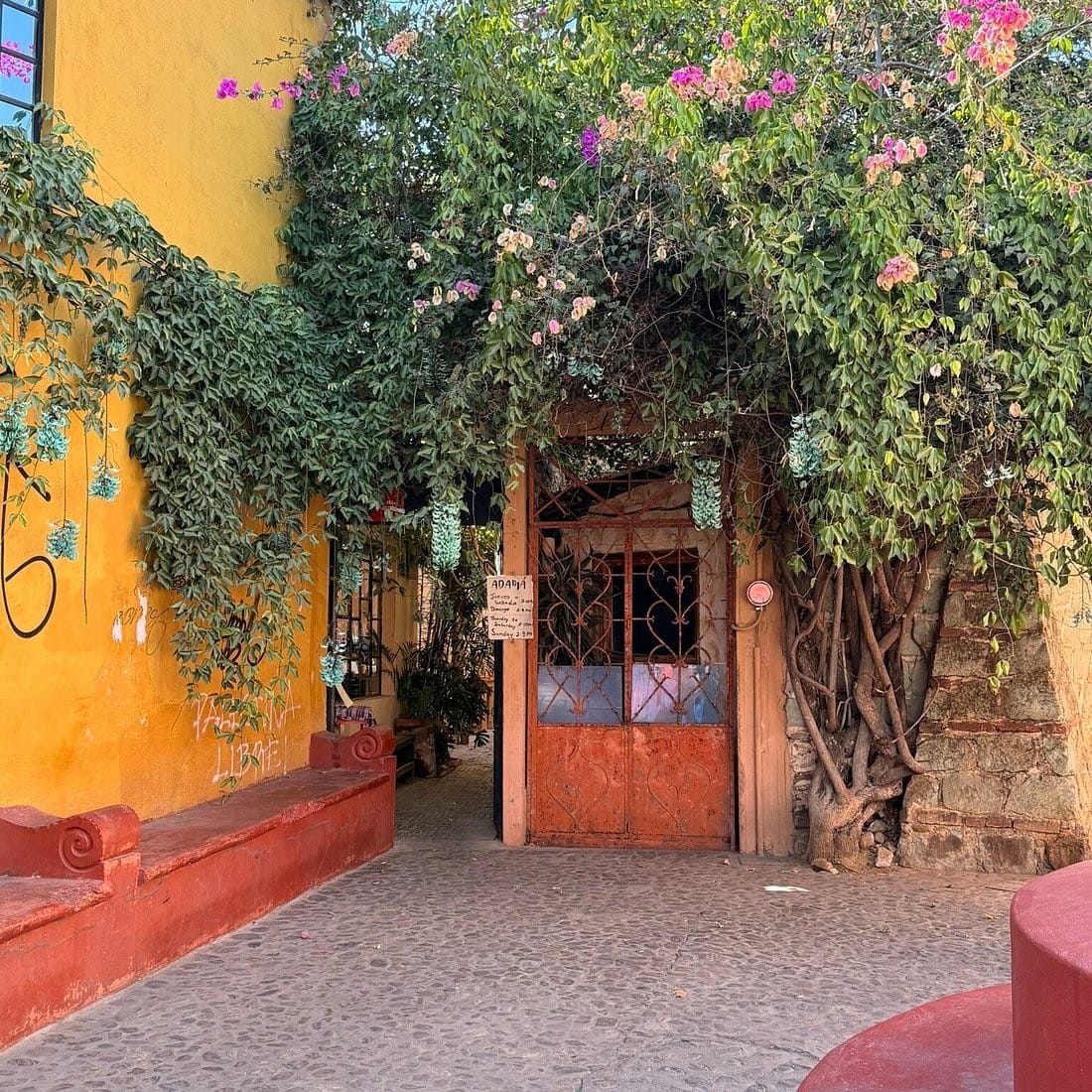 Adamá Oaxaca