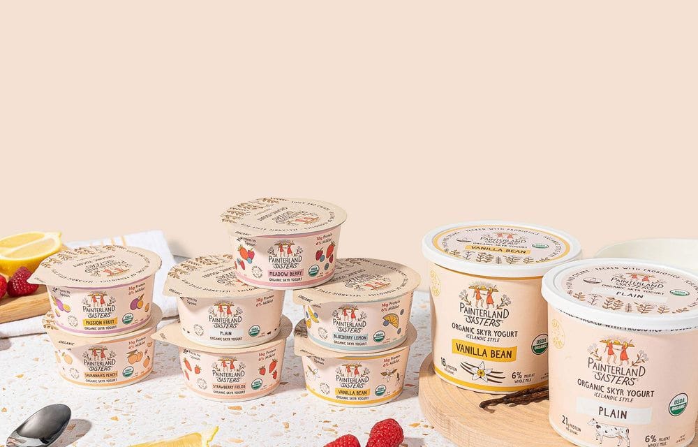 painterland sisters skyr