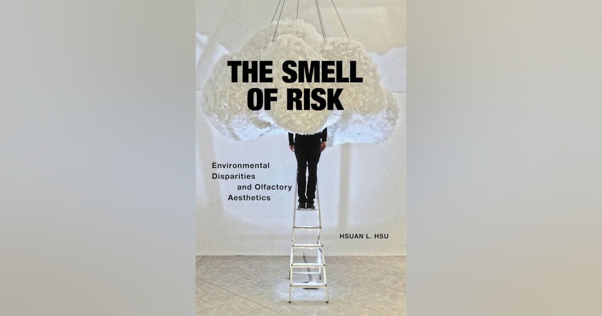 The Smell of Risk: Environmental Disparities and Olfactory Aesthetics