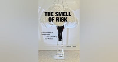 The Smell of Risk: Environmental Disparities and Olfactory Aesthetics
