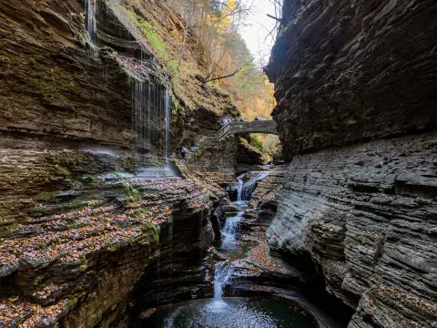watkins glen state park