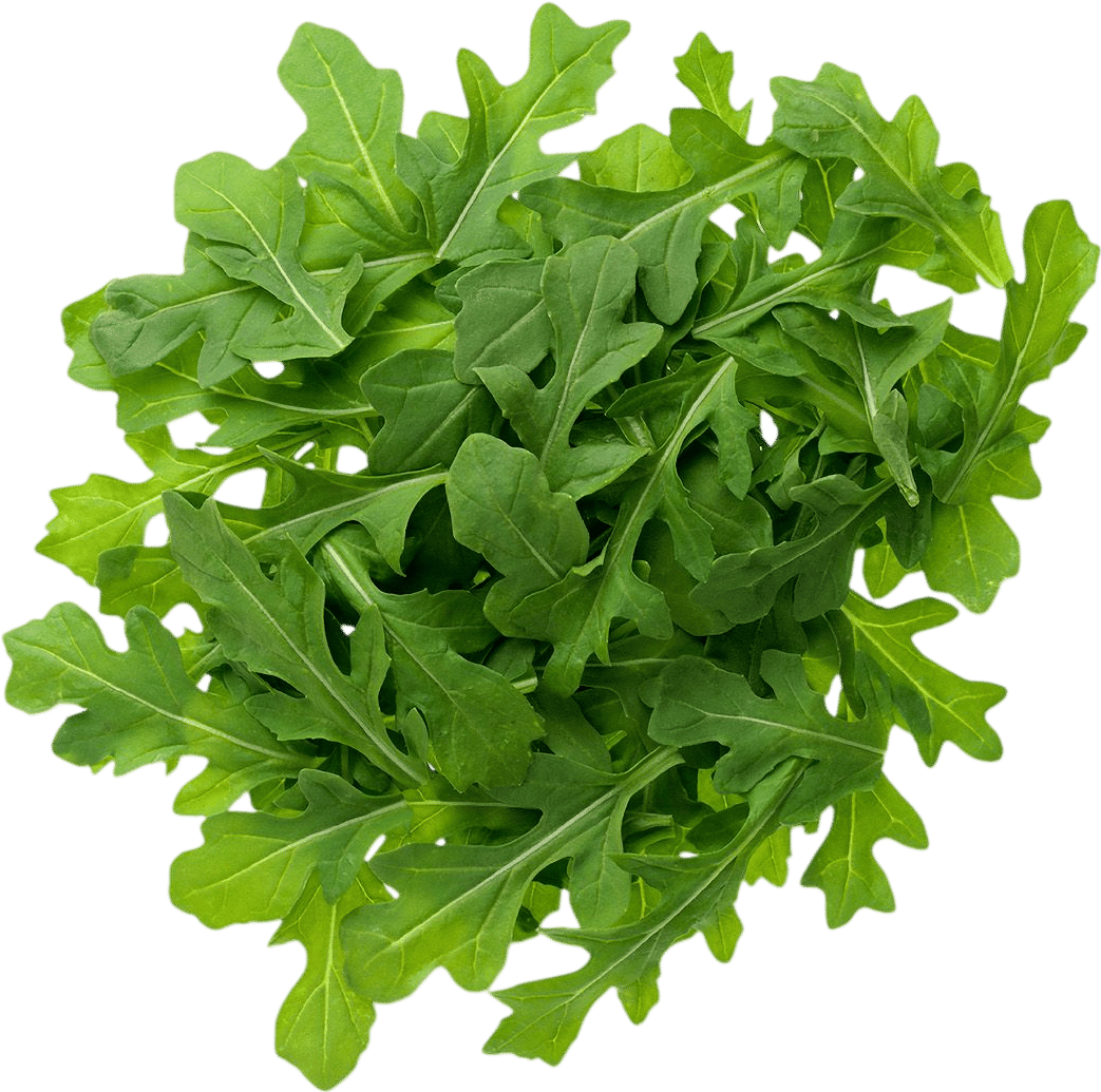 Arugula