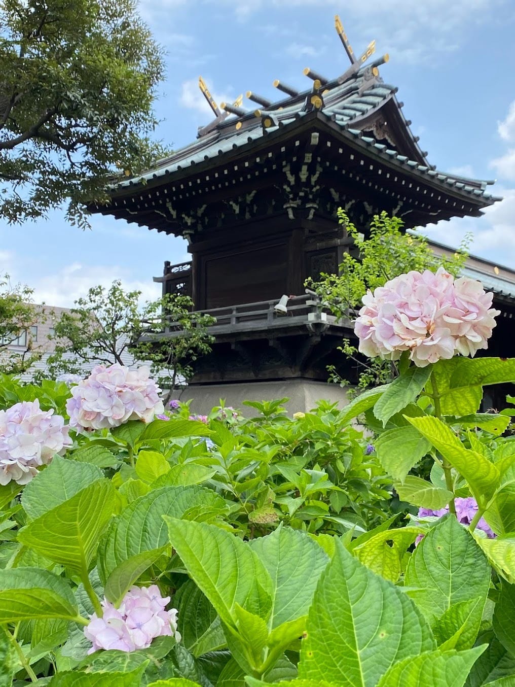 Hakusan Shrine