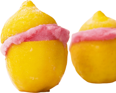 Max and Flynn’s Lemon Sorbet Recipe