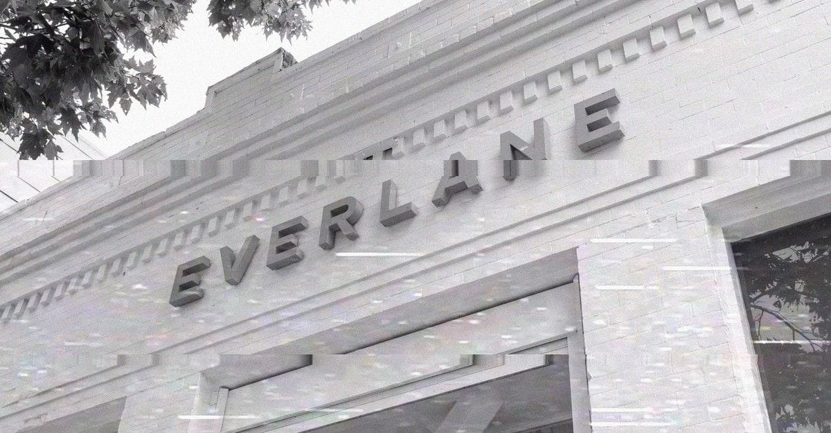 Everlane, Shein, and the Limits of the Ethical Consumer