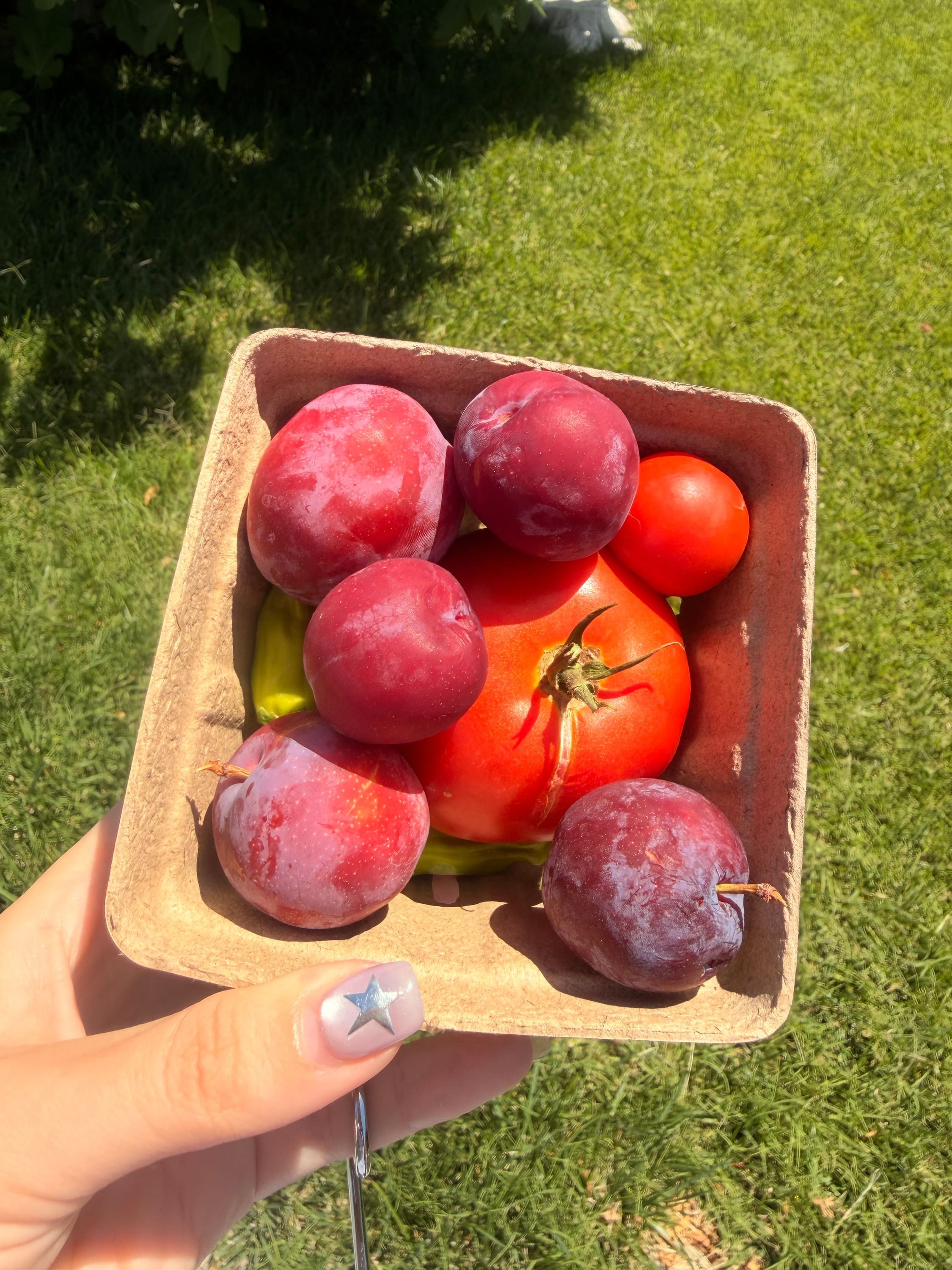 eating seasonally (bonus points if from your own garden!)