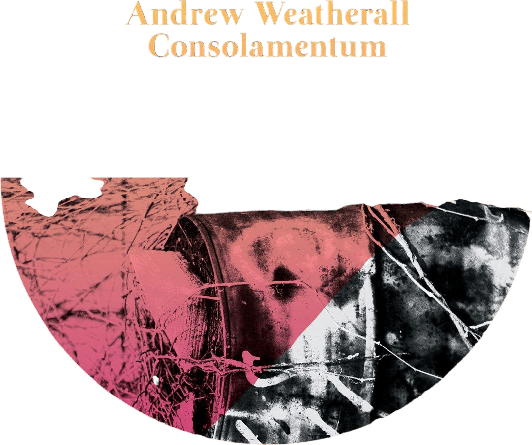 Disappear (Duncan Gray Remix) - Andrew Weatherall