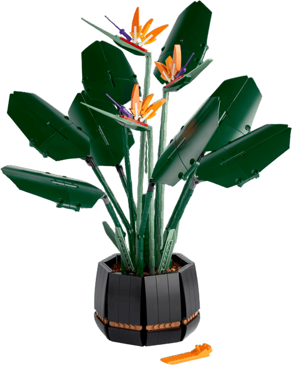 LEGO Botanical Collection Bird of Paradise