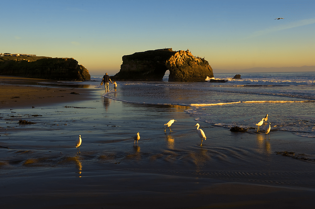 Natural Bridges State Beach- Santa Cruz, CA