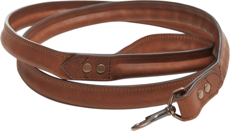 Leather Dog Leash