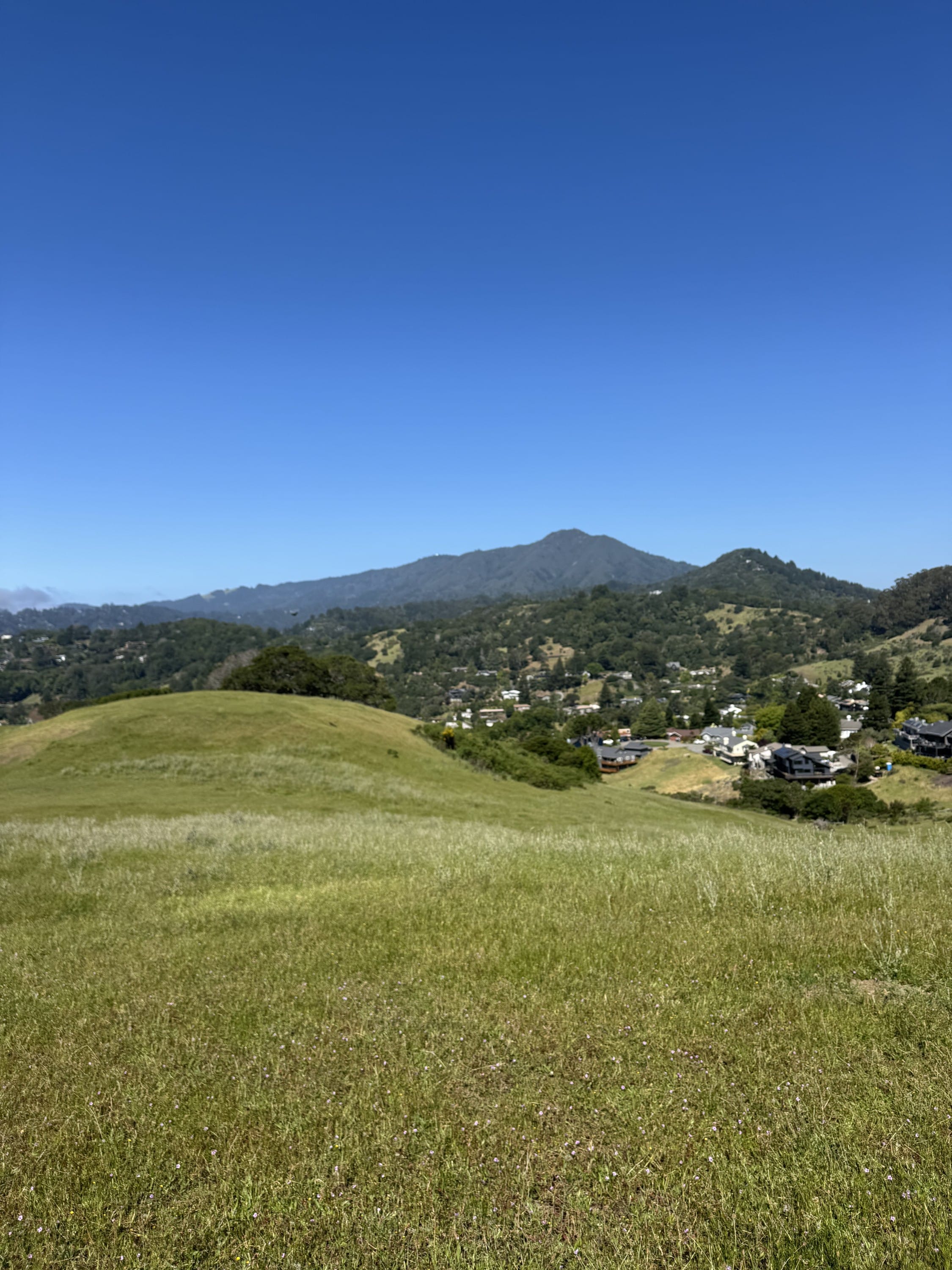 Horse Hill Hike