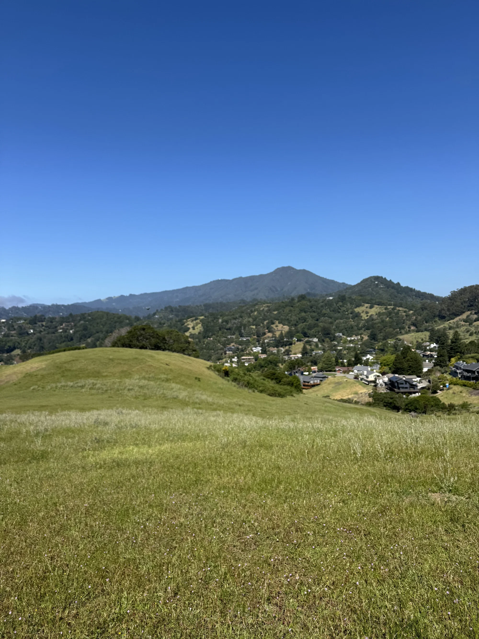 Horse Hill Trail