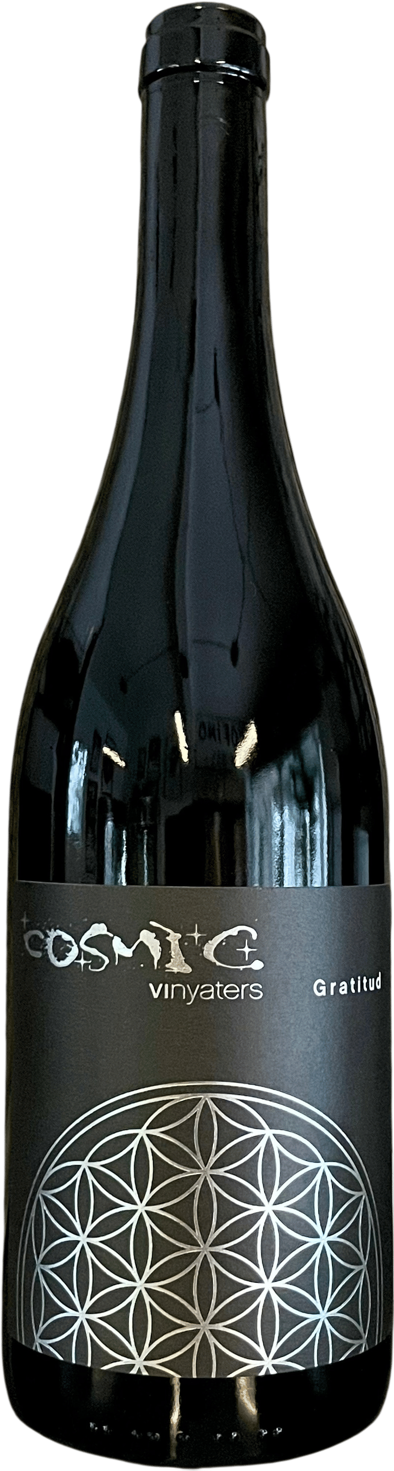 Cosmic Vinyaters Gratitud Negre 2024