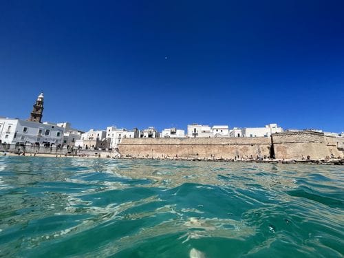 Monopoli