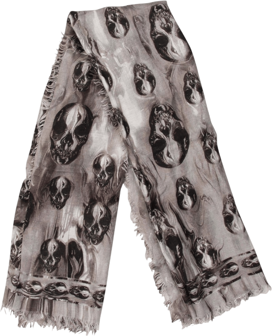 Alexander McQueen Skull Printed Scarf