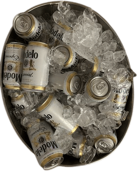 Modelo Especial