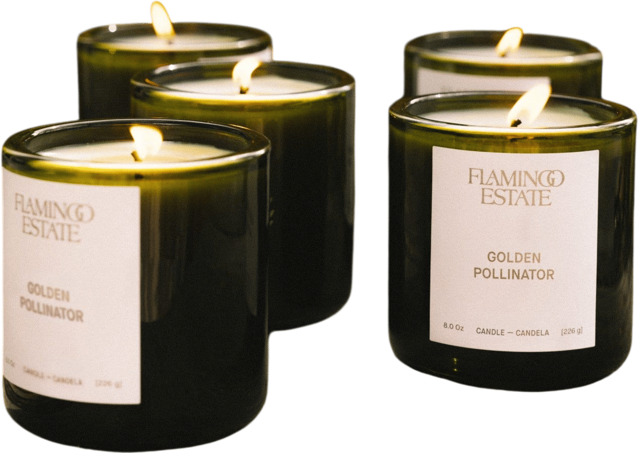 Golden Pollinator Duo