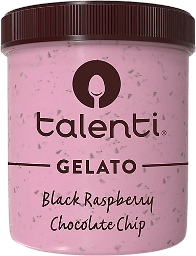 Black Raspberry Chocolate Chip Gelato