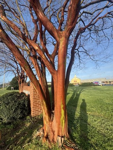 Road Trips with a loved one