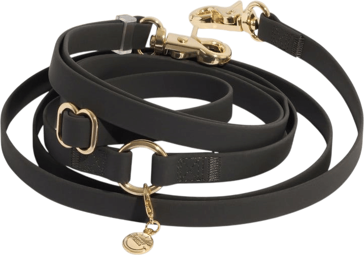 Ember Black 4-in-1 Convertible Hands Free Dog Leash