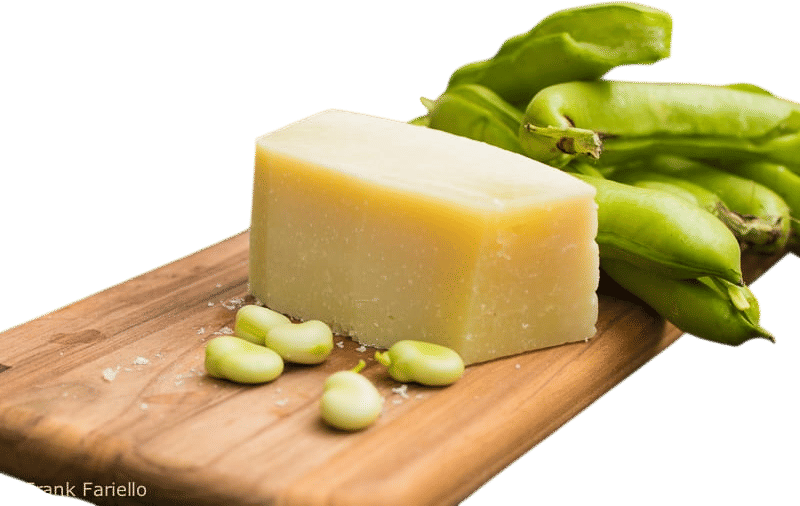Pecorino