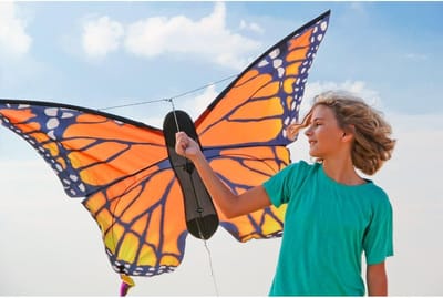 Monarch Butterfly Kite