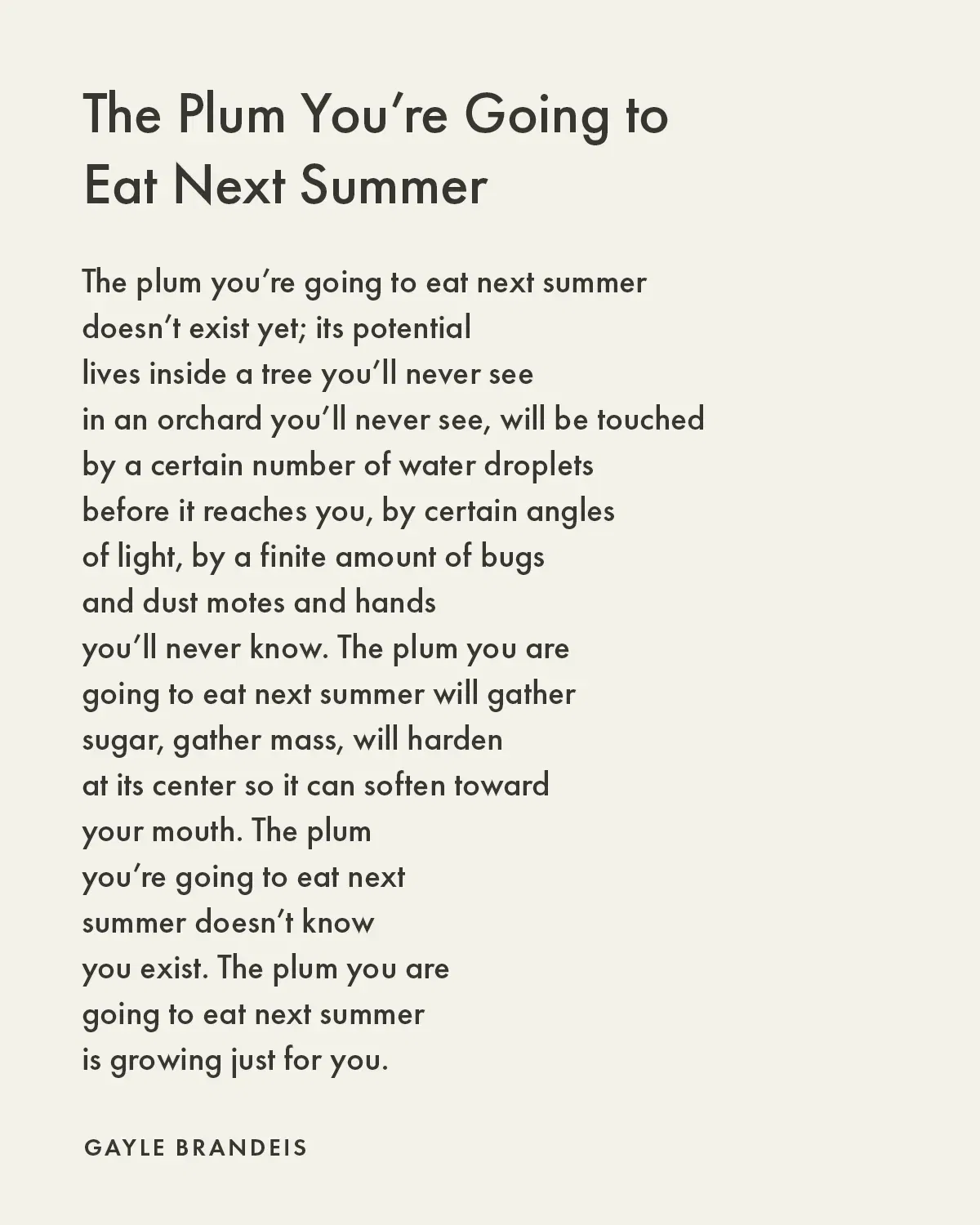 Gayle Brandeis The Plum You're Going To Eat Next Summer